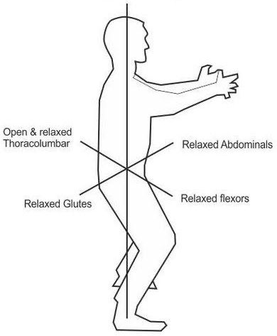 Traduction des mots anglais dans le dessin:  Open and relaxed thoracolumbar = la région thoracolombaire est ouverte en détendue   Relaxed glutes / relaxed abdominals = les muscles fessier sont détendus / les abdominaux aussi  Relaxed flexors = flexors détendus